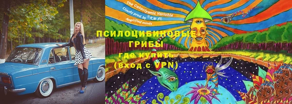 хмурый Нягань