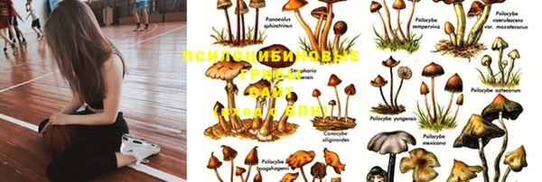 прущий лед Няндома