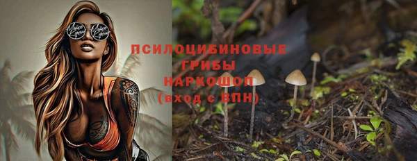 хмурый Нягань