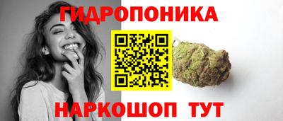стаф Кингисепп