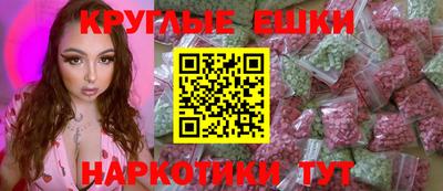 стаф Кингисепп