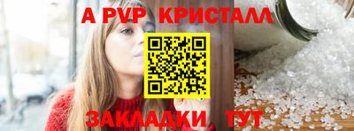 стаф Кингисепп