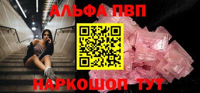 стаф Кингисепп