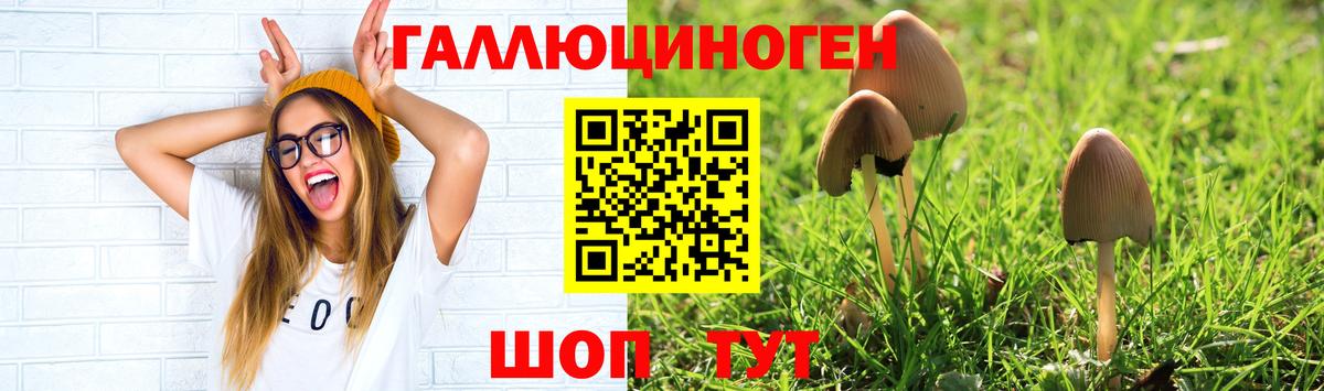 магазин    Вход с VPN  Галлюциногенные грибы Cubensis  Благовещенск  Галлюциногенные грибы ЛСД 